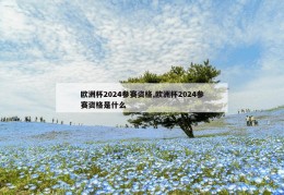 欧洲杯2024参赛资格,欧洲杯2024参赛资格是什么