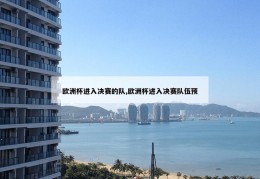 欧洲杯进入决赛的队,欧洲杯进入决赛队伍预