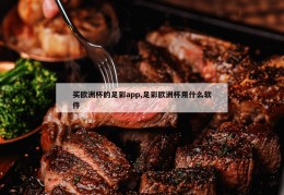 买欧洲杯的足彩app,足彩欧洲杯用什么软件