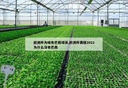 欧洲杯为啥有巴西球员,欧洲杯赛程2021为什么没有巴西