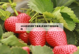 2024年欧洲杯下暴雨,欧洲杯下雨有影响吗