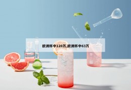 欧洲杯中120万,欧洲杯中63万