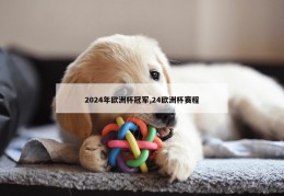 2024年欧洲杯冠军,24欧洲杯赛程