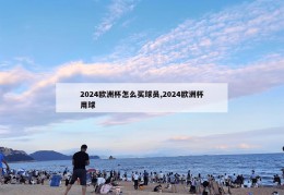 2024欧洲杯怎么买球员,2024欧洲杯用球