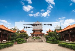 cctv5今晚直播nba,CCTV5今晚直播NBA