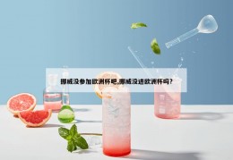 挪威没参加欧洲杯吧,挪威没进欧洲杯吗?