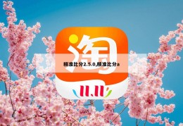 精准比分2.5.0,精准比分a