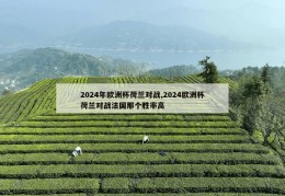 2024年欧洲杯荷兰对战,2024欧洲杯荷兰对战法国那个胜率高