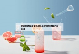 欧洲杯法国赢了吗2024,欧洲杯法国已经出线