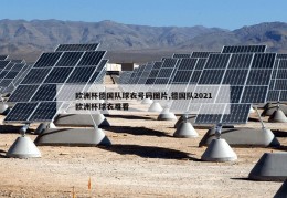 欧洲杯德国队球衣号码图片,德国队2021欧洲杯球衣难看