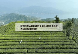 欧洲杯意大利比西班牙测,2021欧洲杯意大利和西班牙分析