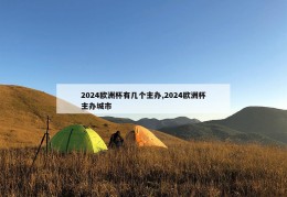 2024欧洲杯有几个主办,2024欧洲杯主办城市