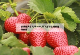 欧洲杯天下足球2024,天下足球欧洲杯进球集锦