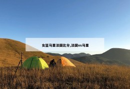 女篮马里法国比分,法国vs马里