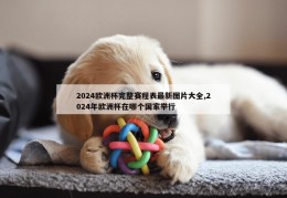 2024欧洲杯完整赛程表最新图片大全,2024年欧洲杯在哪个国家举行