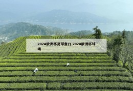 2024欧洲杯足球盘口,2024欧洲杯球场