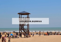 dobby多比分析,多比例评分法