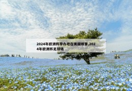 2024年欧洲杯举办地在美国哪里,2024年欧洲杯足球场